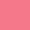 Sun Kissed Coral Sun Kissed Coral